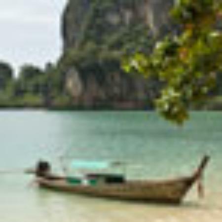 24 Carrotz Multicuisine Family Restaurant